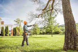 Trusted Sunbury, PA Tree Services Experts